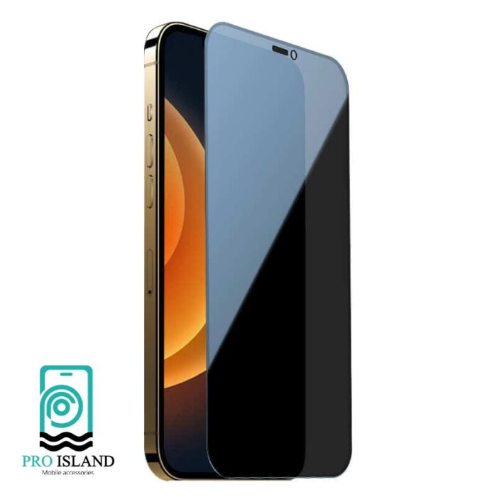 محافظ صفحه نمایش حریم شخصی نیلکین مدل Guardian مناسب برای گوشی موبایل اپل IPhone 12 Mini - 1