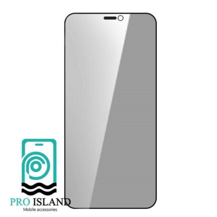 محافظ صفحه نمایش حریم شخصی گرین مدل Steve-Privacy مناسب برای گوشی موبایل اپل iPhone 12/12 Pro