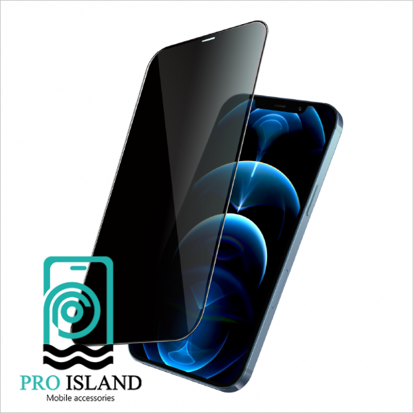 محافظ صفحه نمایش حریم شخصی گرین مدل Steve-Privacy مناسب برای گوشی موبایل اپل iPhone 11