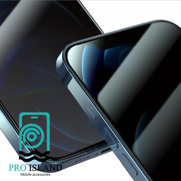 محافظ صفحه نمایش حریم شخصی گرین مدل Steve-Privacy مناسب برای گوشی موبایل اپل iPhone 11 Pro