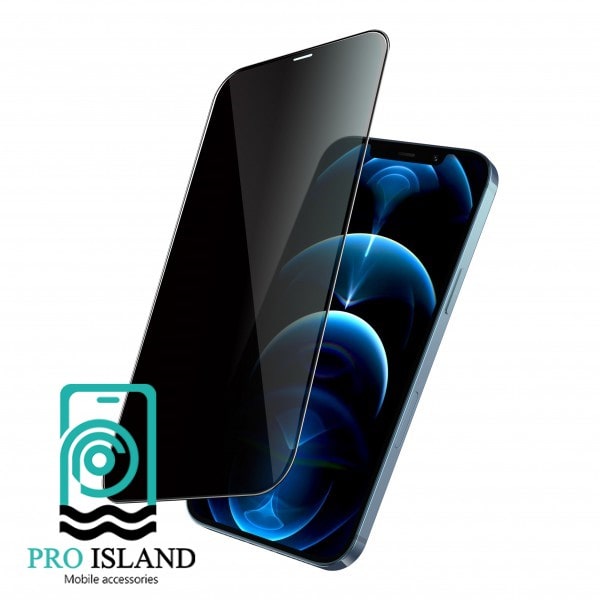 محافظ صفحه نمایش حریم شخصی گرین مدل Steve-Privacy مناسب برای گوشی موبایل اپل iPhone 12/12 Pro