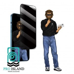محافظ صفحه نمایش حریم شخصی گرین مدل Steve-Privacy مناسب برای گوشی موبایل اپل iPhone 12 Pro Max